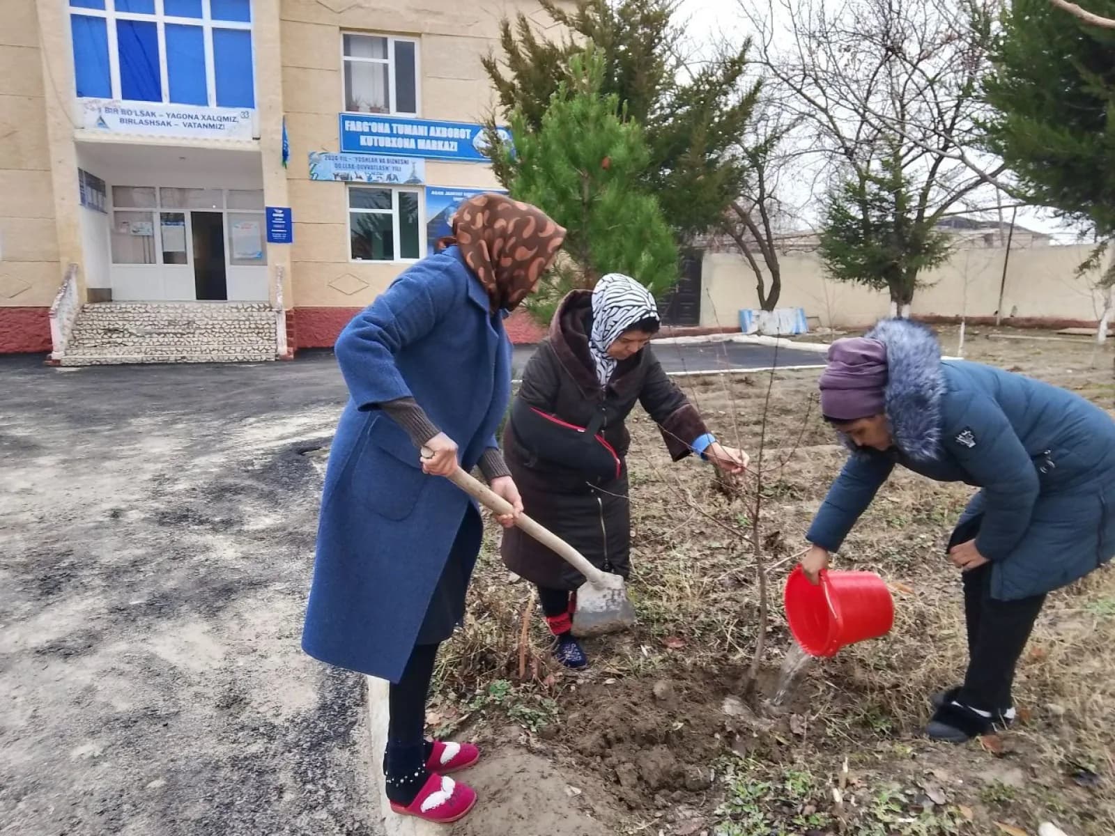 In the Fergana District, tree-planting is actively continuing under the Green Space project. Fergana District Information and Library Center